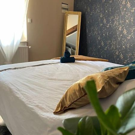 Appartement De Charme 80M2 Givors Ngoại thất bức ảnh