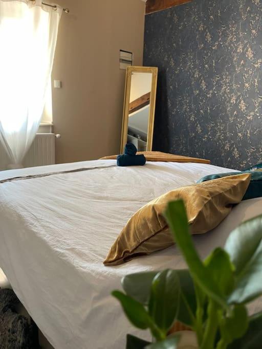Appartement De Charme 80M2 Givors Ngoại thất bức ảnh