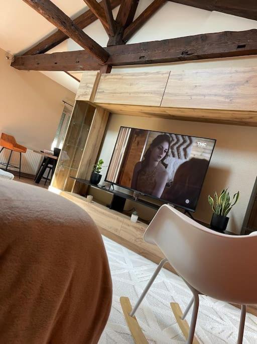 Appartement De Charme 80M2 Givors Ngoại thất bức ảnh