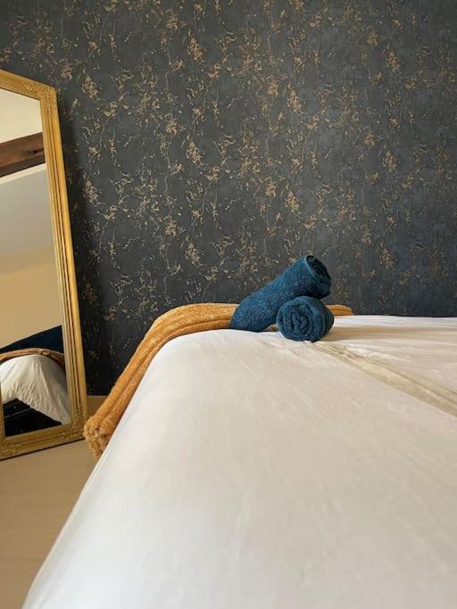 Appartement De Charme 80M2 Givors Ngoại thất bức ảnh